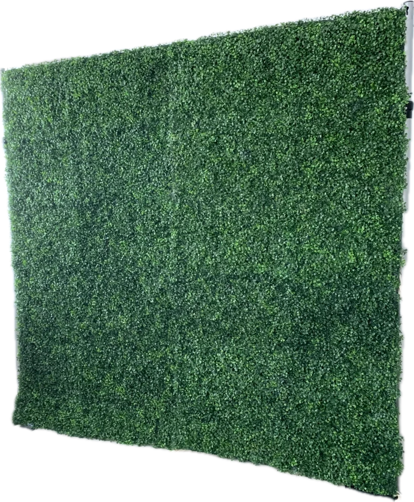 Greenery Photo Wall